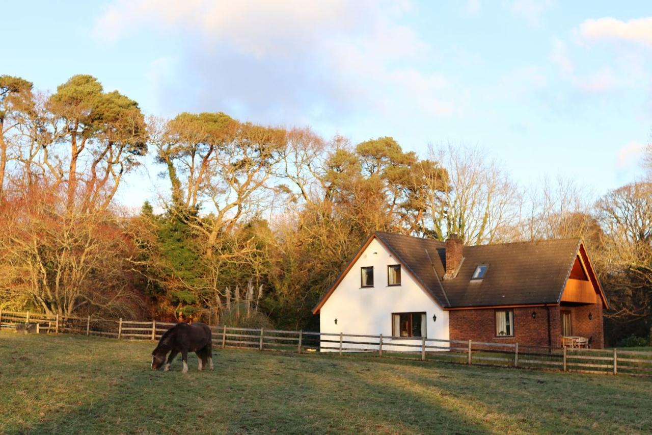 Plas Dolau Country Estate Абъристуит Екстериор снимка